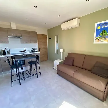 Climatise Au Lavandou - Proche - Fr-1-816-6 Apartment *