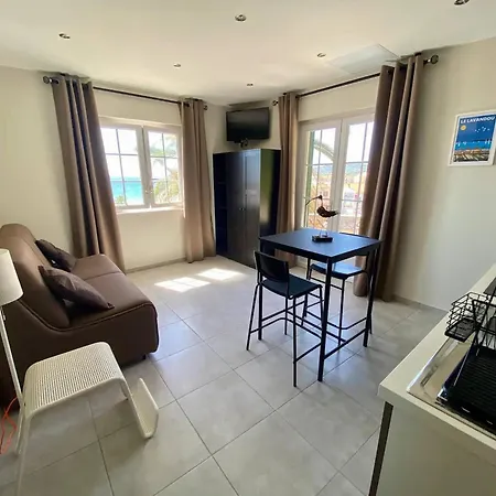 Apartment Climatise Au Lavandou - Proche - Fr-1-816-6 Le Lavandou